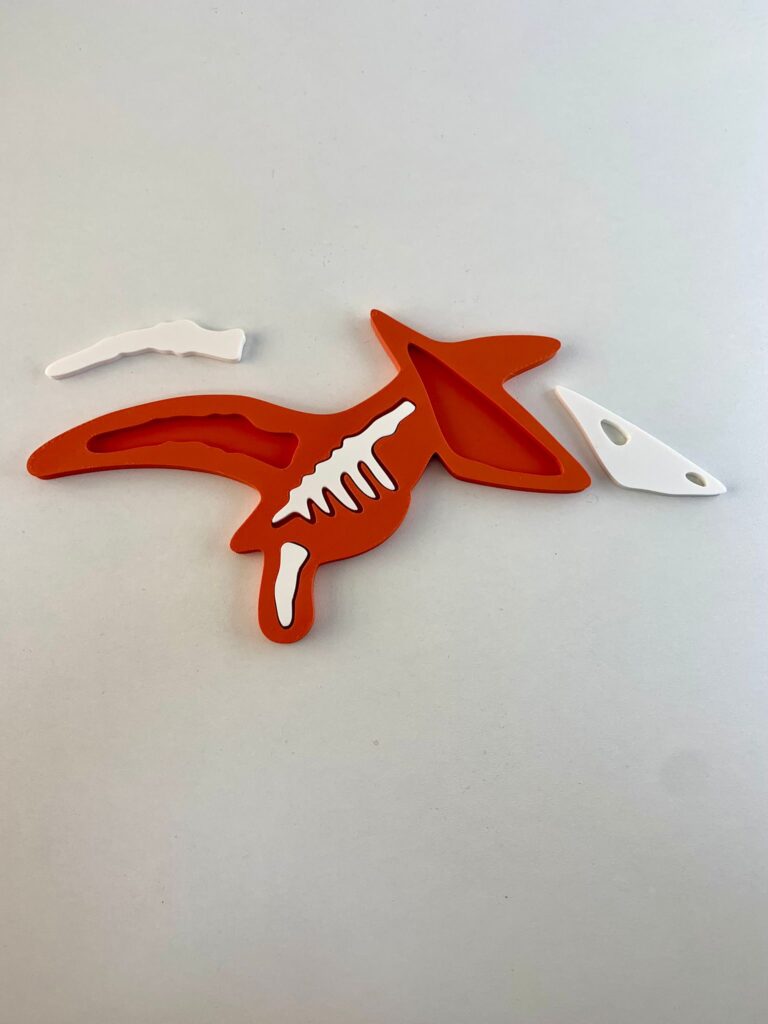 Quebra-Cabeça Esqueleto de Pterossauro 3D